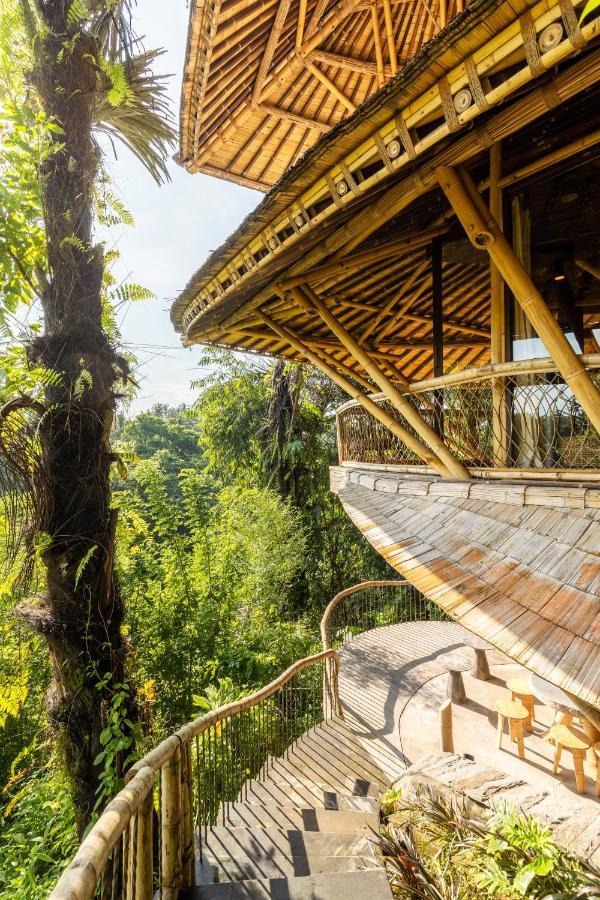 Eclipse House 4Bds Eco Bamboo House Pool Riverview Bringkit Exteriör bild
