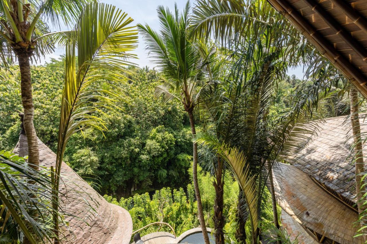 Eclipse House 4Bds Eco Bamboo House Pool Riverview Bringkit Exteriör bild