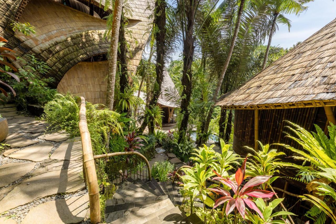 Eclipse House 4Bds Eco Bamboo House Pool Riverview Bringkit Exteriör bild