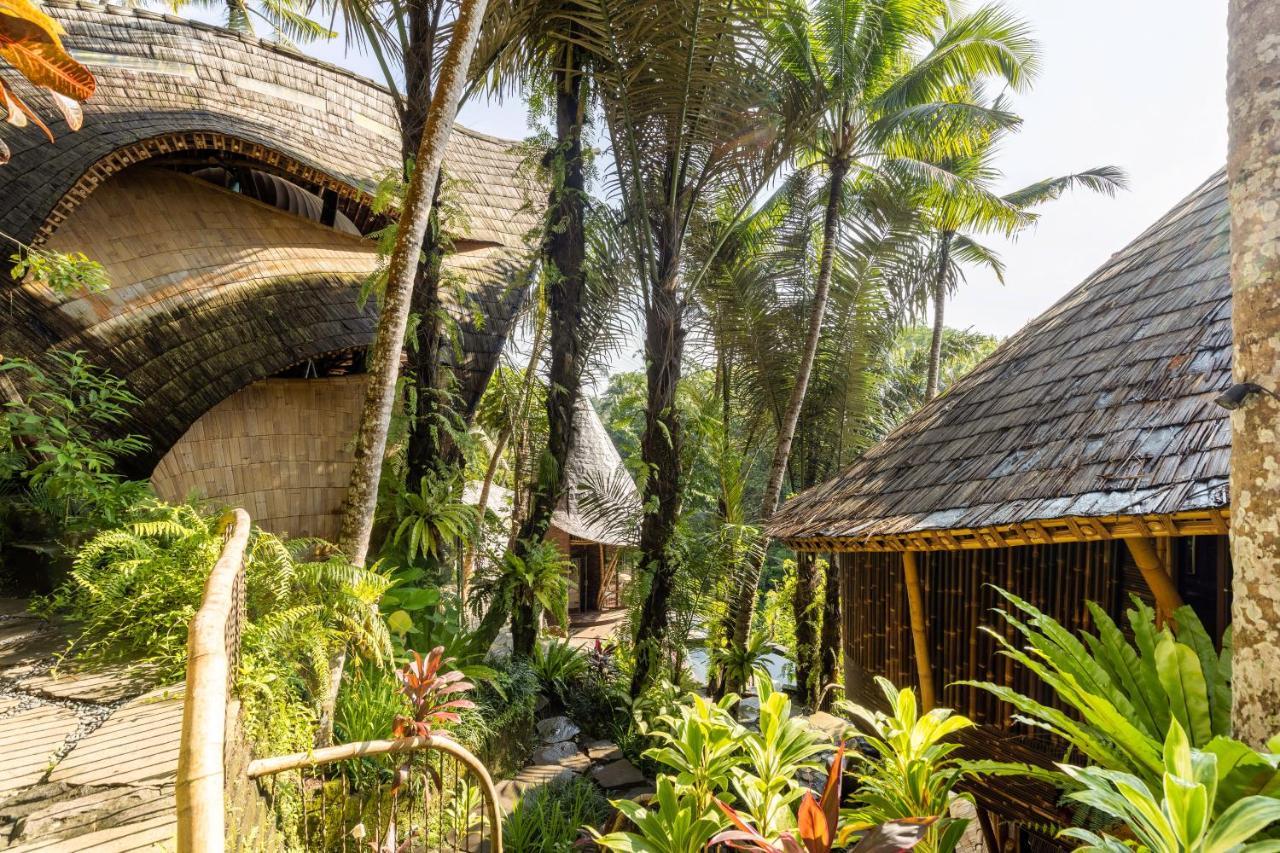 Eclipse House 4Bds Eco Bamboo House Pool Riverview Bringkit Exteriör bild